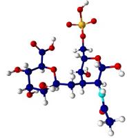 Chondroitin 100 gram + Vitamin C powder